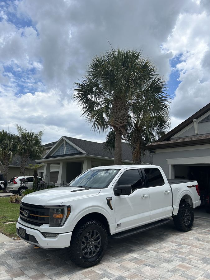 White Ford F-150 Tremor on a paver drive under a palm